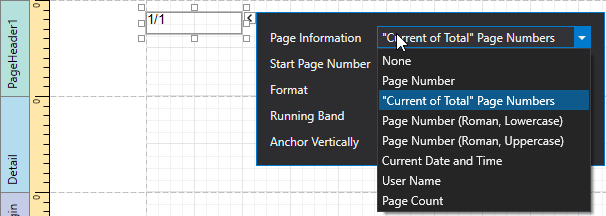 EUD_WpfReportDesigner_PageInfo_2