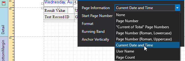 EUD_WpfReportDesigner_PageInfo_5